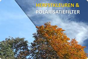00_CP-herfst.png