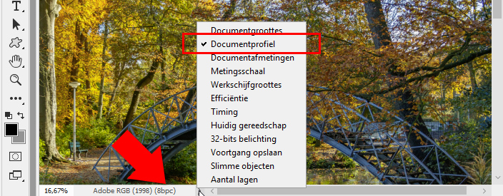 documentprofiel