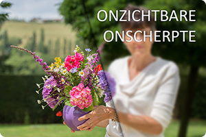00_onscherpte.png