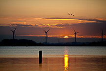 06_compositie00-216px.jpg