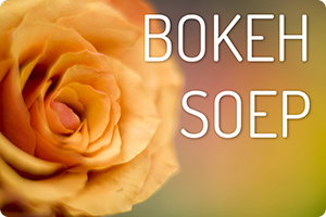 00_bokeh-soep.png