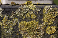04-5D4_8664-klein