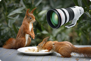 00_ef400mm (201903110831513151).png