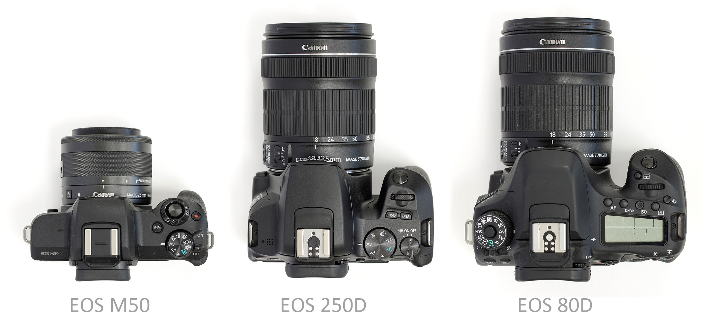 zwak betrouwbaarheid Extra Review Canon EOS 250D