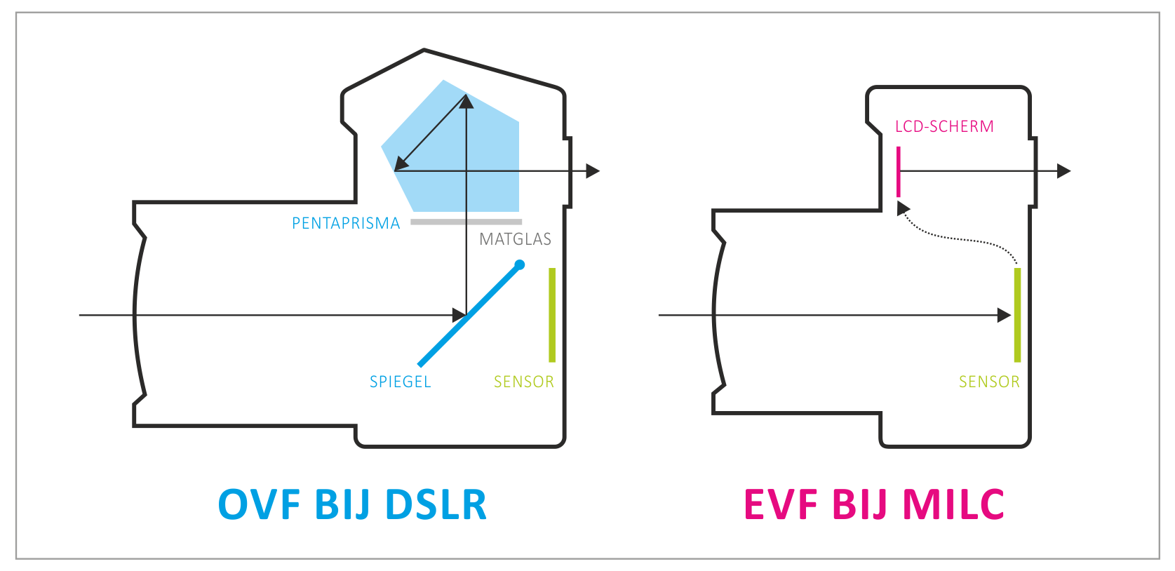 01_OVF-EVF