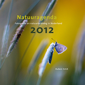 cover_300pix.jpg