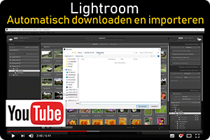 00_LRauto-download-import.png
