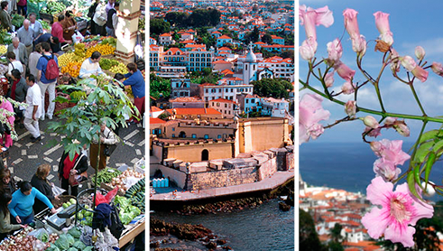 Kleurrijk Madeira