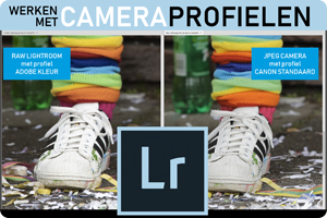 00_lr-profielen-visual.png
