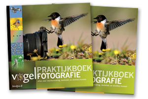 birdpix_praktijkboek-vogelfotografie-klein.jpg