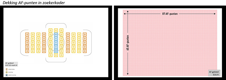 AF-sensor-5D4-EOSR-klein