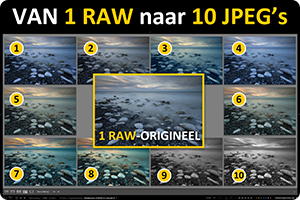 00_1RAW-10-visual.png