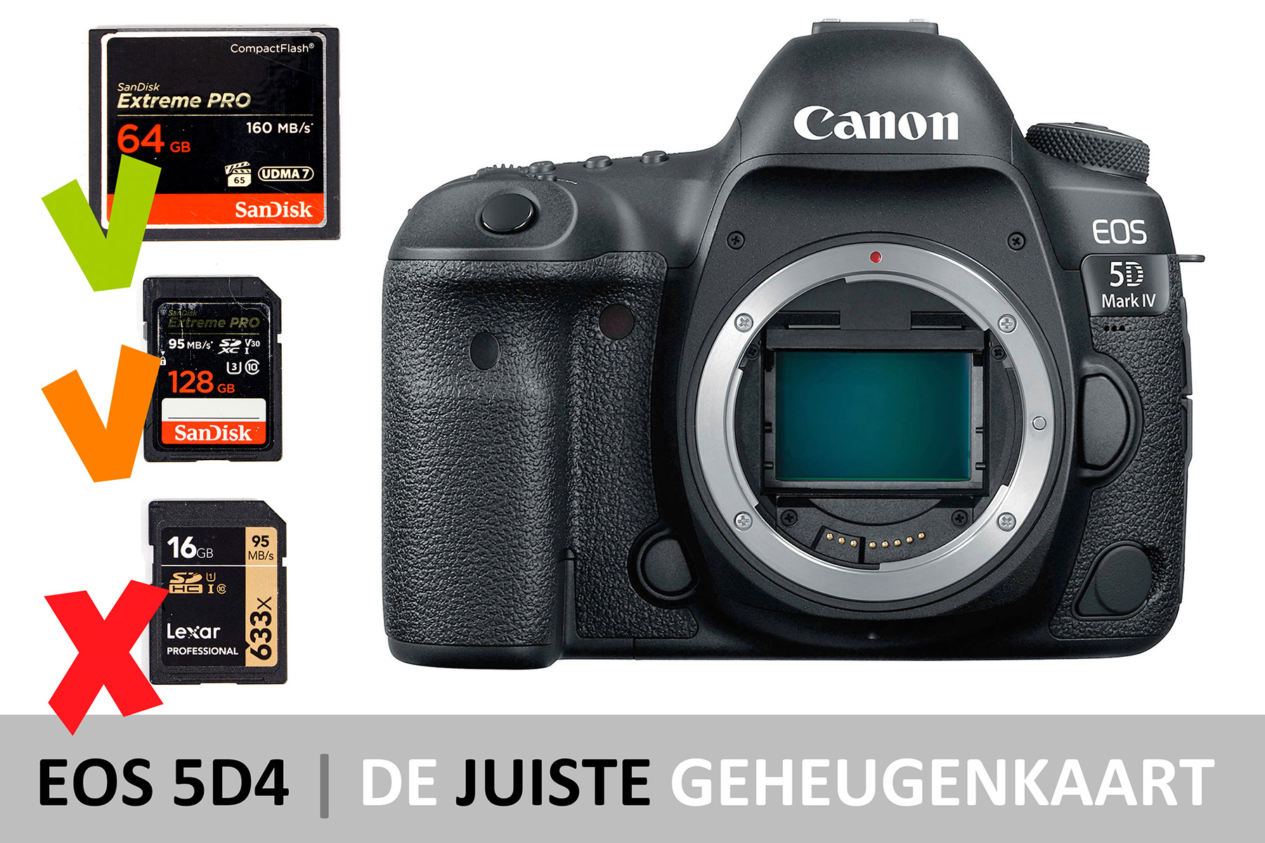EOS5D-markIV-visual