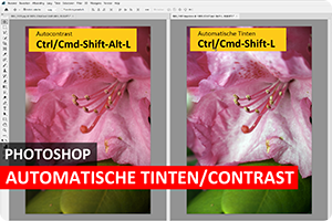 00_auto-tinten.png