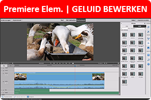 00_PREL-geluid.png