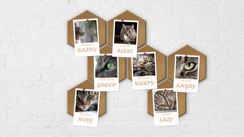 Deco-print (06)-klein