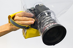 5D3_1831-300px.jpg