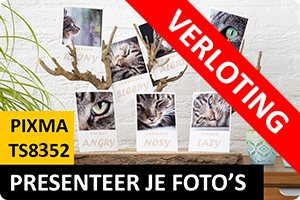 00_verloting-ts8352.png