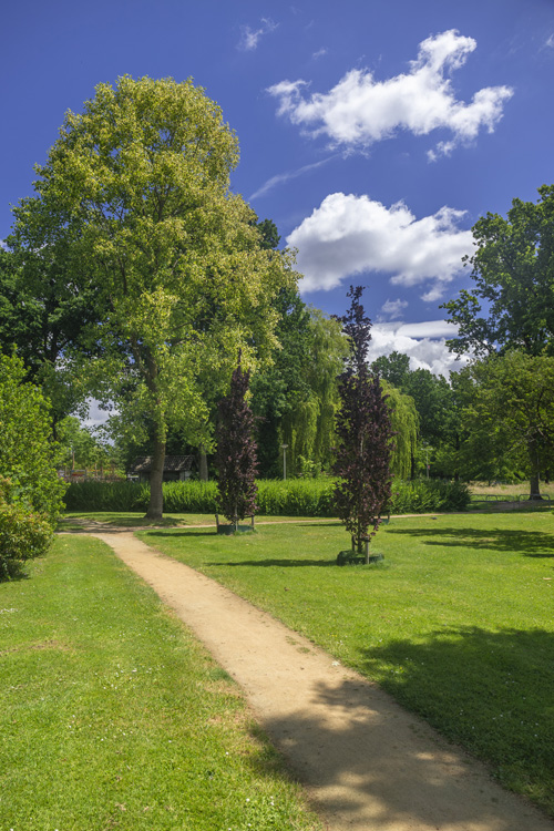 Landschap-CRAW-klein