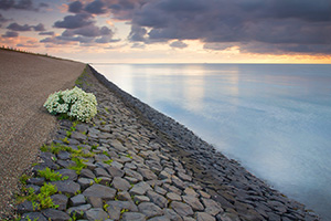 00_texel-300px.jpg