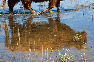 00_tiengemeten-300px.jpg