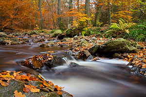 00_ardennen-300px.jpg