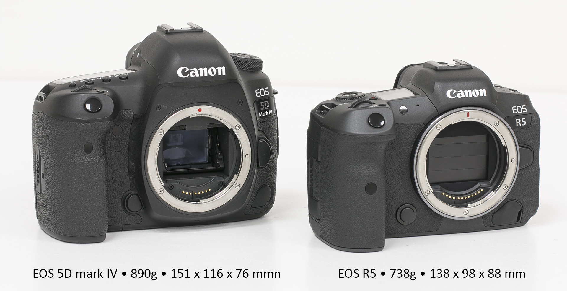 EOS 5D4 vs EOS R5