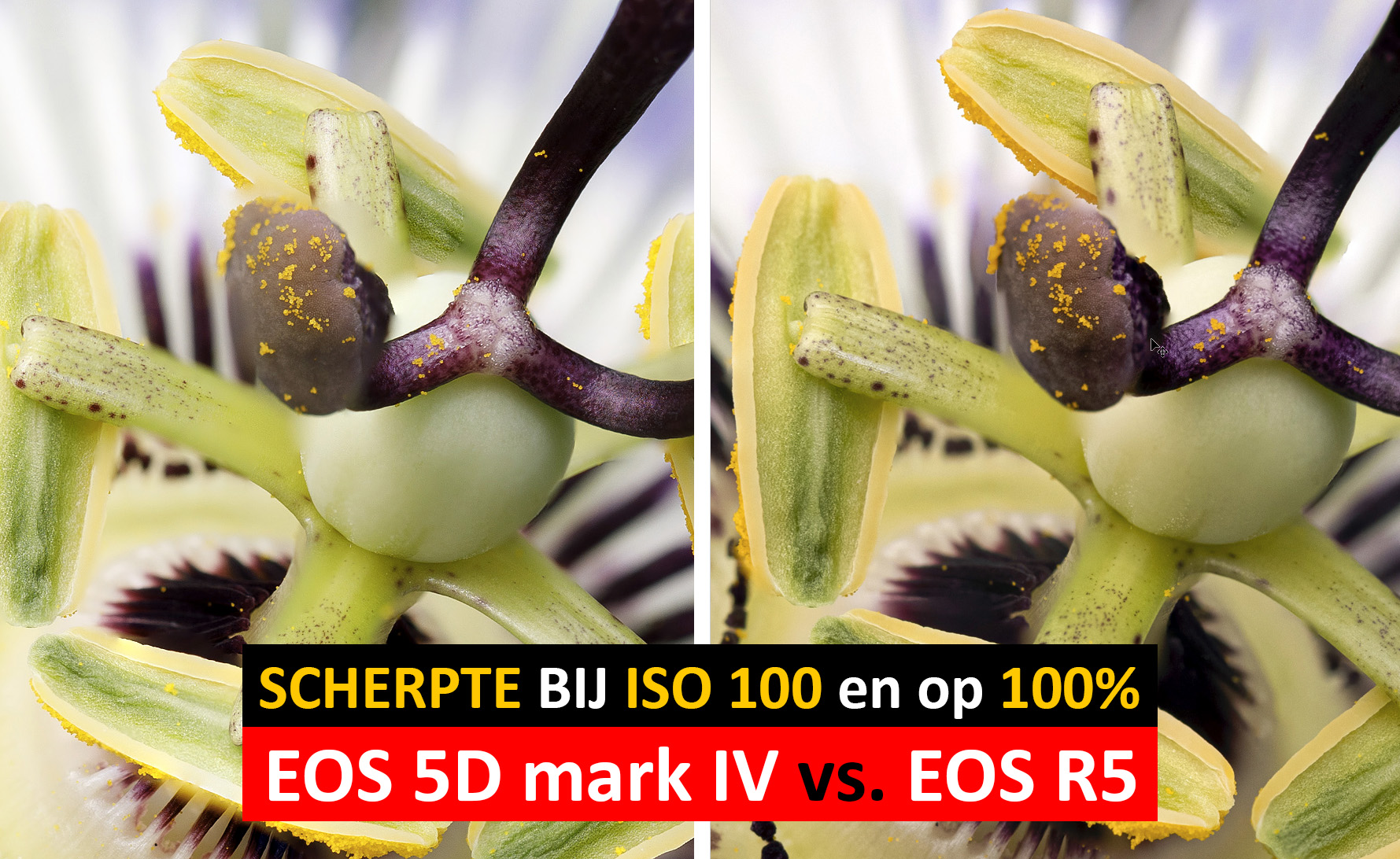 visual-scherpte-eos-r5