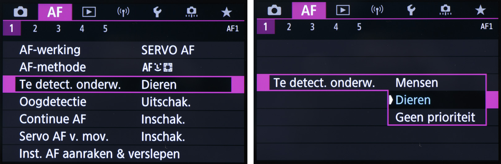 servo-voorkeur-mens-dier