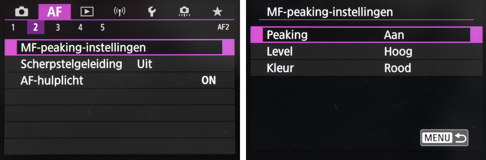 focuspeaking01