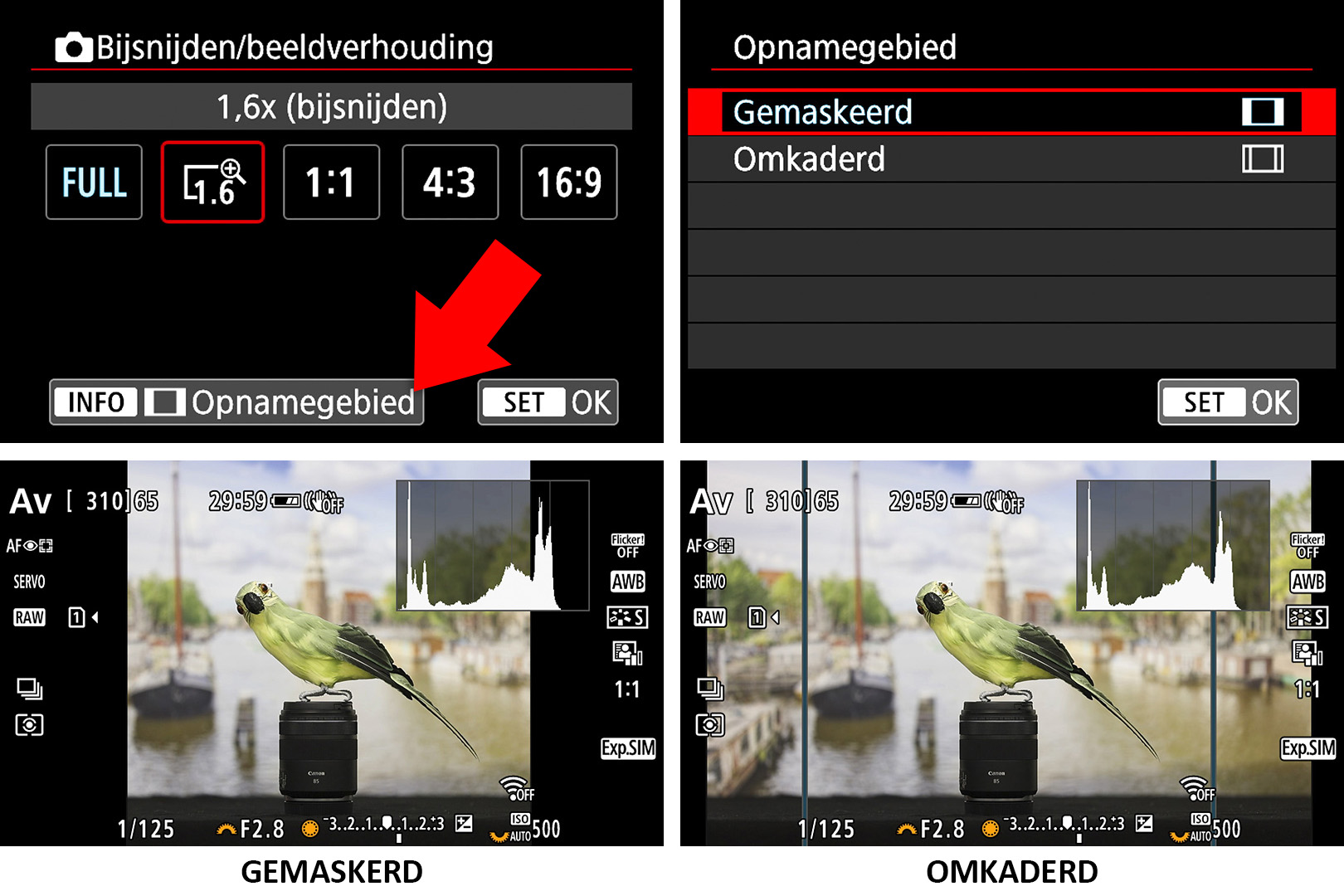 opnamegebied