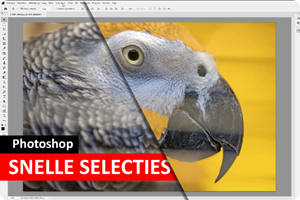 00_ps-snelle-selecties.png