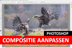 00_compositie-aanpassen.png