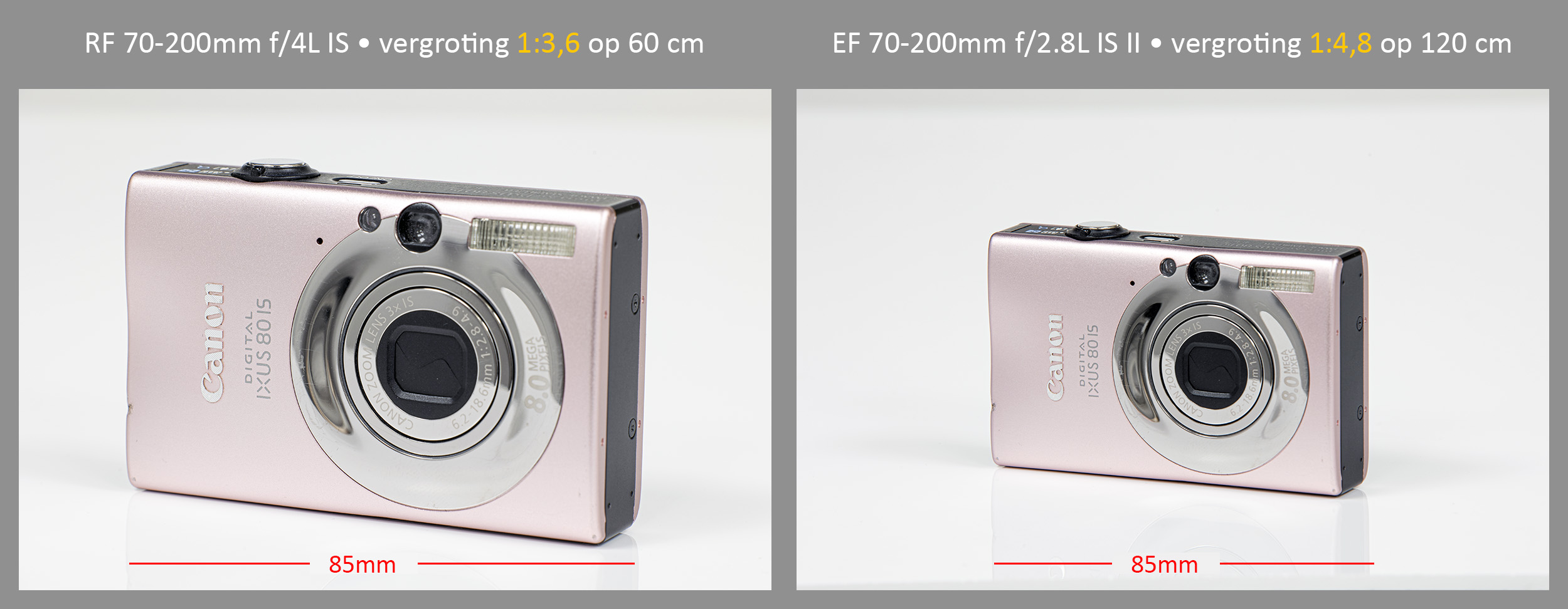 rf70-200mmf4lis-vergroting