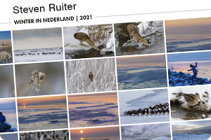 00_StevenRuiter-Winter2021.png