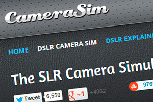 00_camerasim.jpg