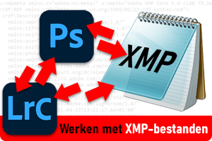 00_xmp.png