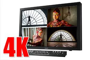 00_DP-V3010_display.jpg