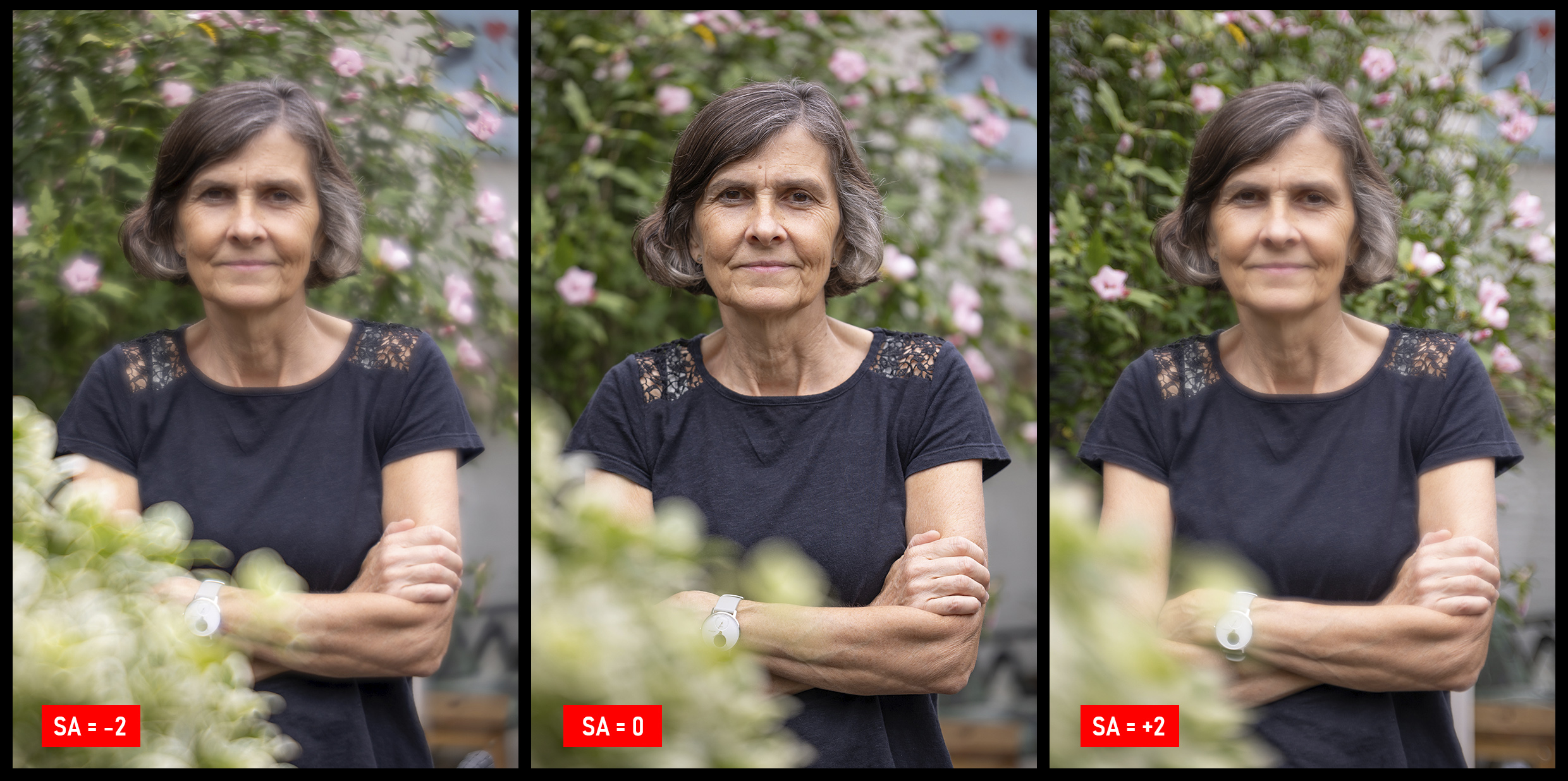 SA-portret