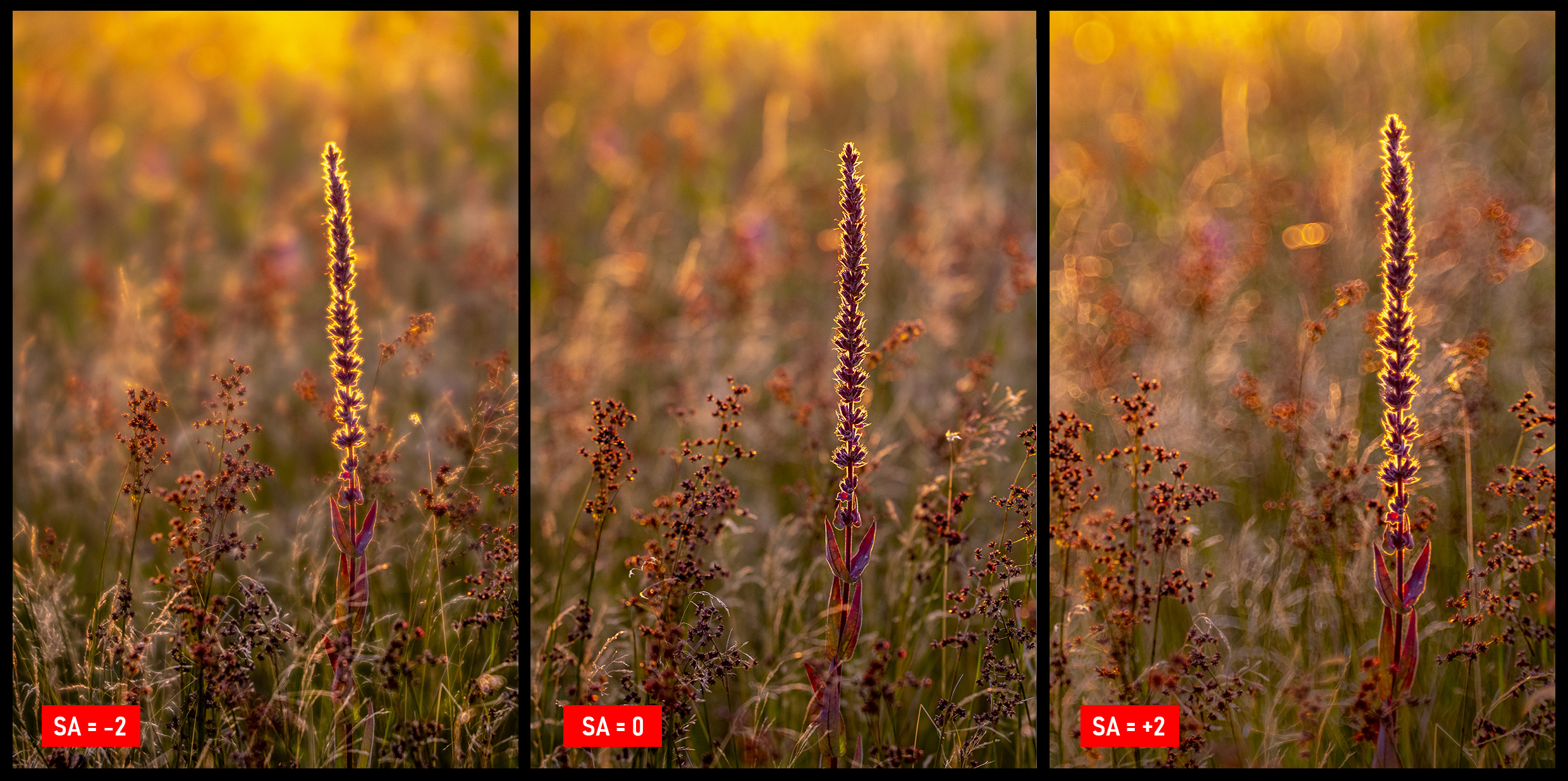SA-natuur