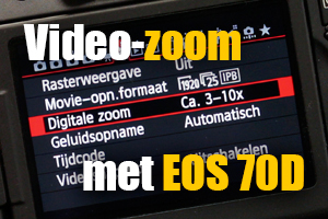 00_video-zoom.jpg