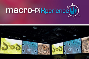 00_Macro_PiXperience_300.jpg