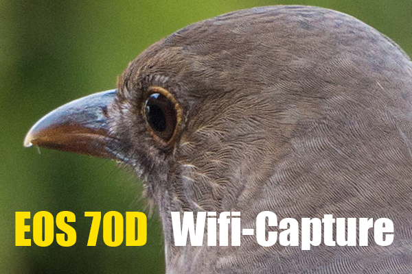 00_wifi-capture.jpg