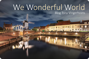 Tony | We Wonderful World (2)