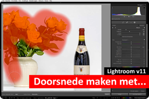 00_doorsnede maken met.png
