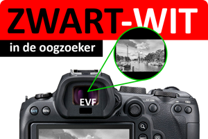 00_zw-oogzoeker.png