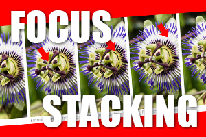 00_focus-stacking.jpg
