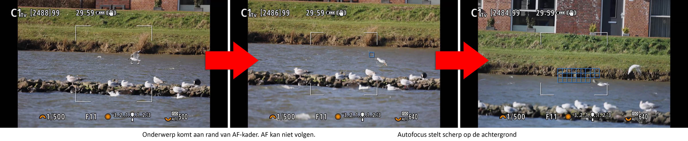 af-volgen