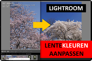 00_lentekleuren.png