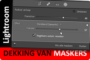 00_dekking-maskers.png